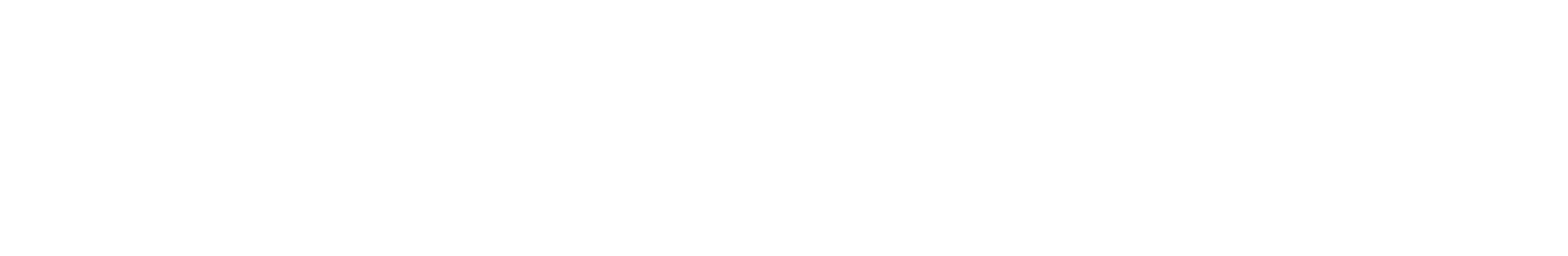 Leitsysteme Logo